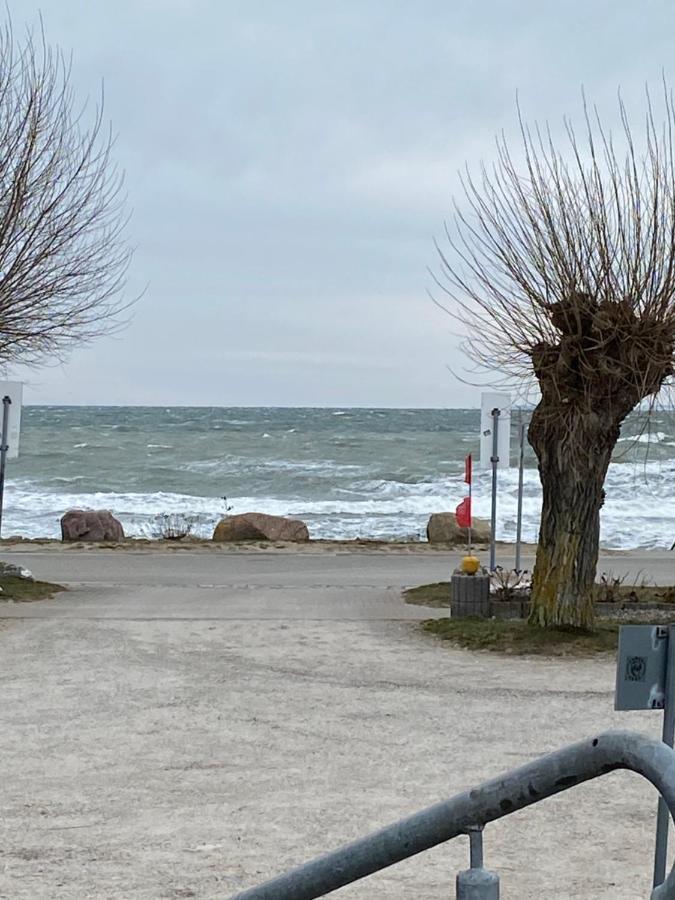 Gaestehaus Schmidt Boltenhagen  Exteriör bild
